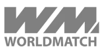 Visa Logo