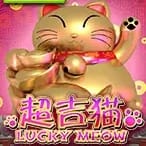 Lucky Meow